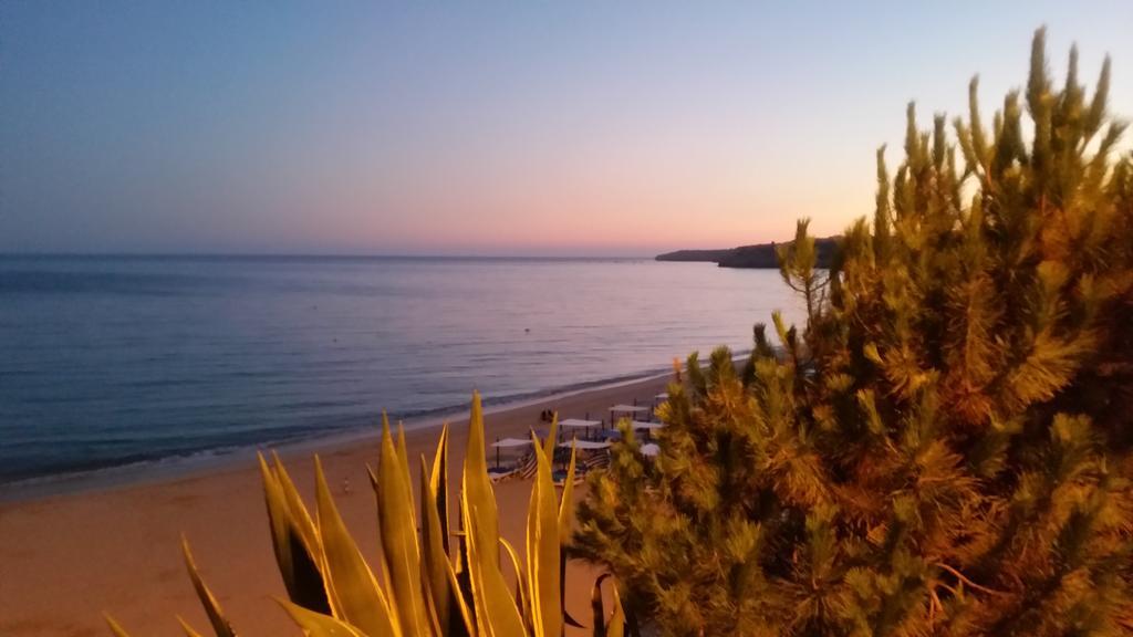 Beira Mar Terrace Apartment Armação de Pêra Zewnętrze zdjęcie